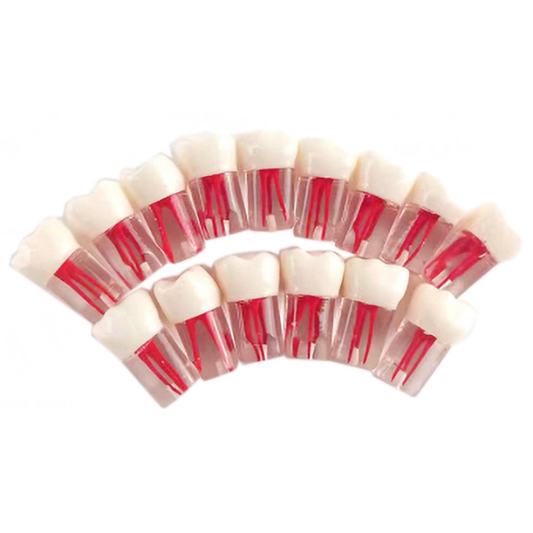 Localizador de ápices, equipo dental, dentista, clínica dental.